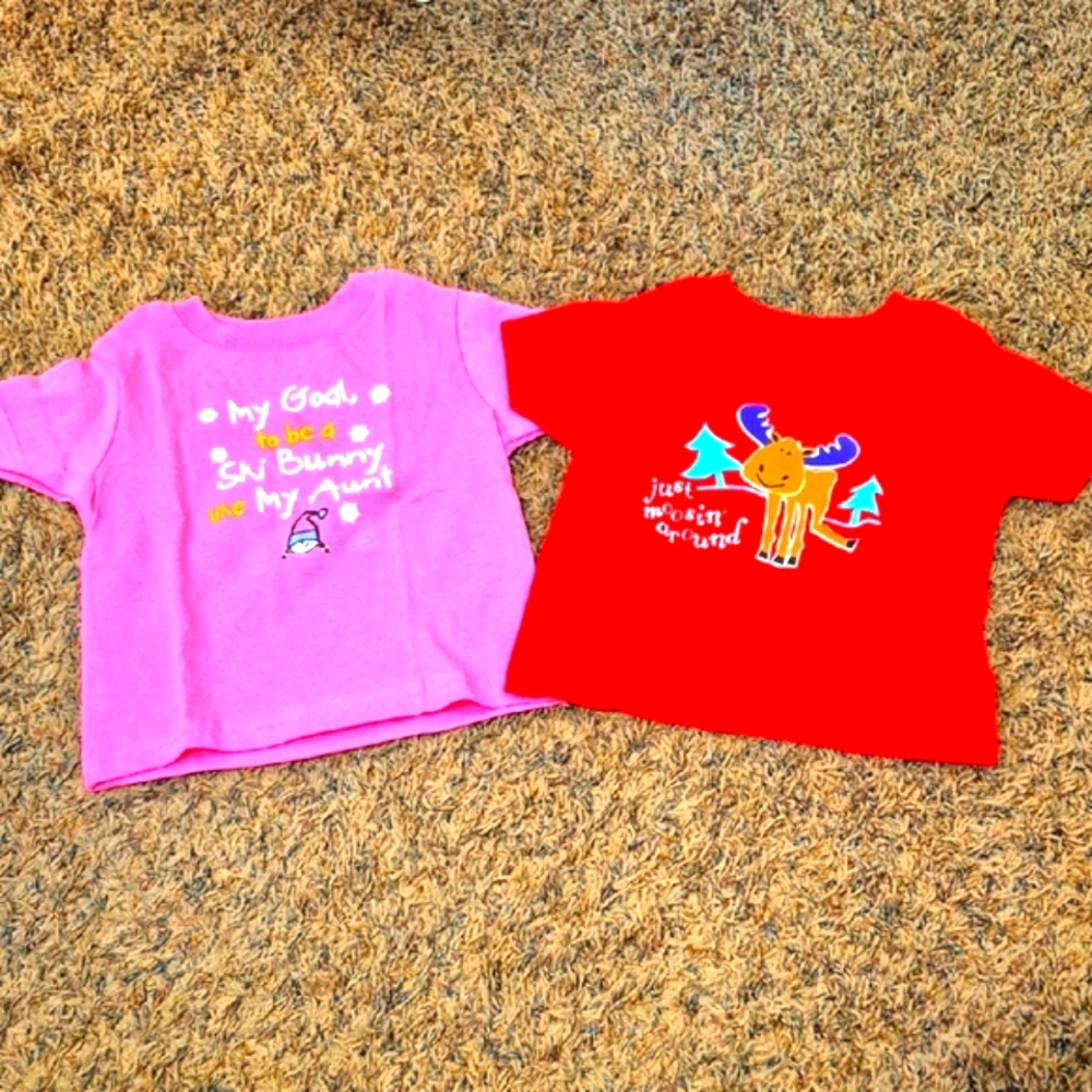 Brand New Kids Skiing And Moose Mountains Graphic T-Shirts - Pink and Red Size 2